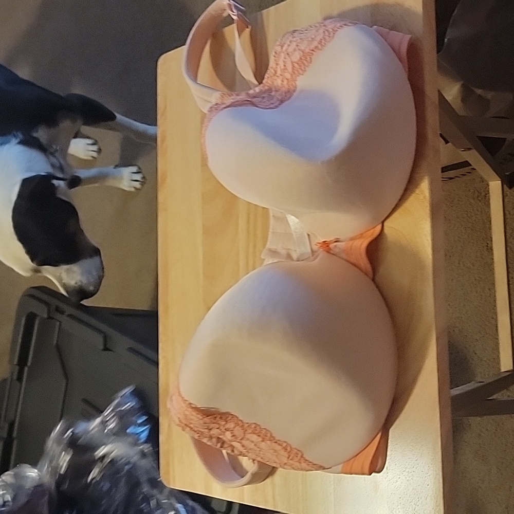 Cacique never worn bra size 40F